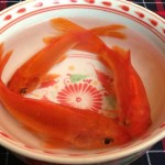 20170118135238-ca-chep-1